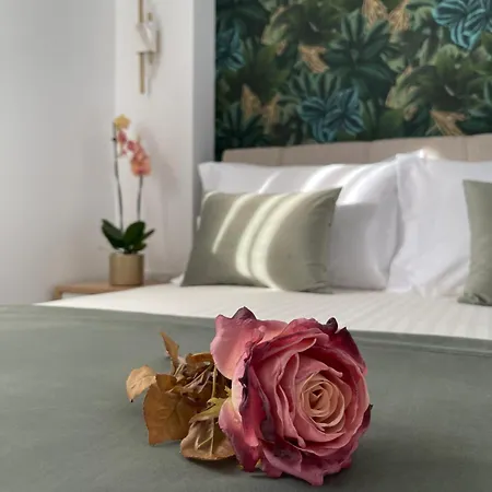 Elia Luxury House 欧拉努波利斯